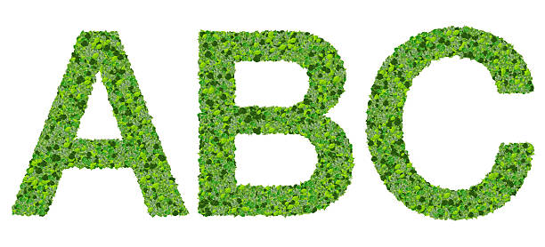 istock ABC alphabet letters made from green leaves. 468868334