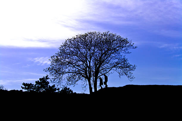 istock Lonely tree at sunset and a couple of lovers 468868519
