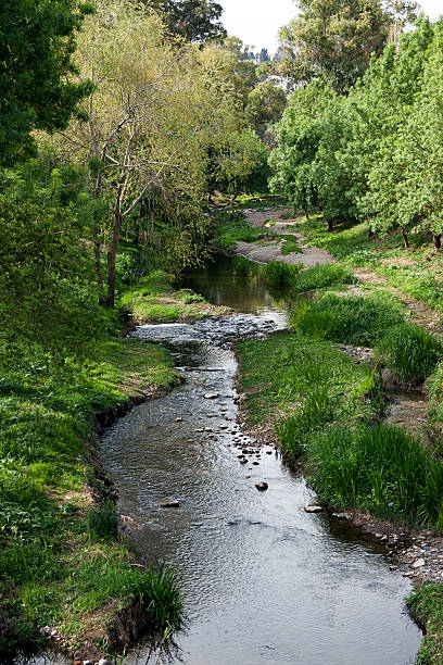 istock Pretty stream running through the woods 468874272