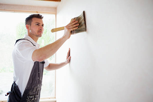 сконцентрируйтесь, украшая - house painter painter painting home improvement стоковые фото и изображения