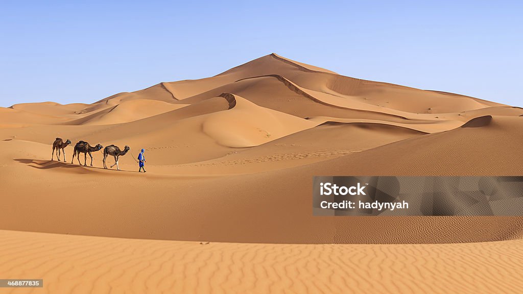 Young Tuareg with camel on Western Sahara Desert, Africa 36MPix Tuareg with camels on the western part of The Sahara Desert in Morocco. The Sahara Desert is the world's largest hot desert. Desert Area Stock Photo