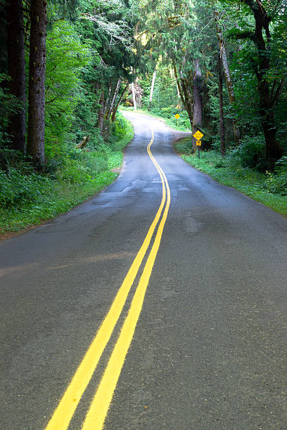istock Curvy Scenic Byway Highway Meanders Through Hoh Rainforest 468880066