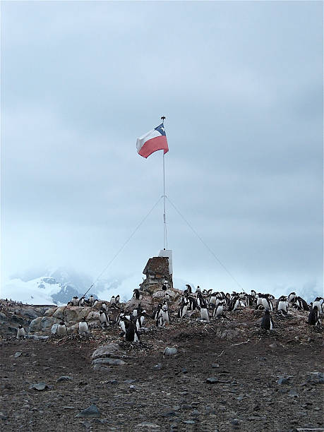 istock Chilean Outpost, Antarctica 468880535