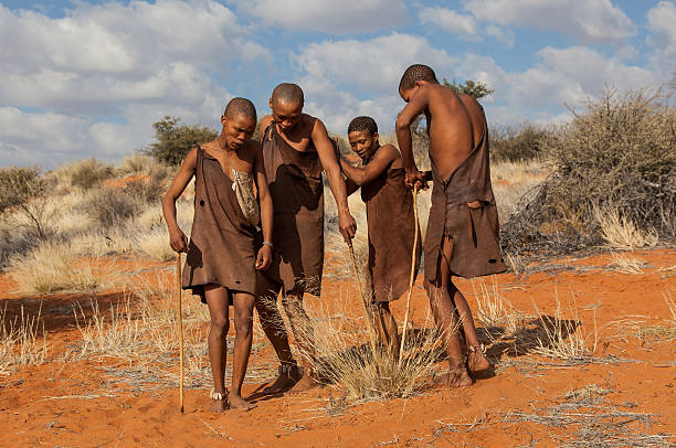 Bushmen Kalahari, Namibia - July 11, 2009: Bushmen preparing for hunt in the kalahari desert in Namibia bushmen stock pictures, royalty-free photos & images