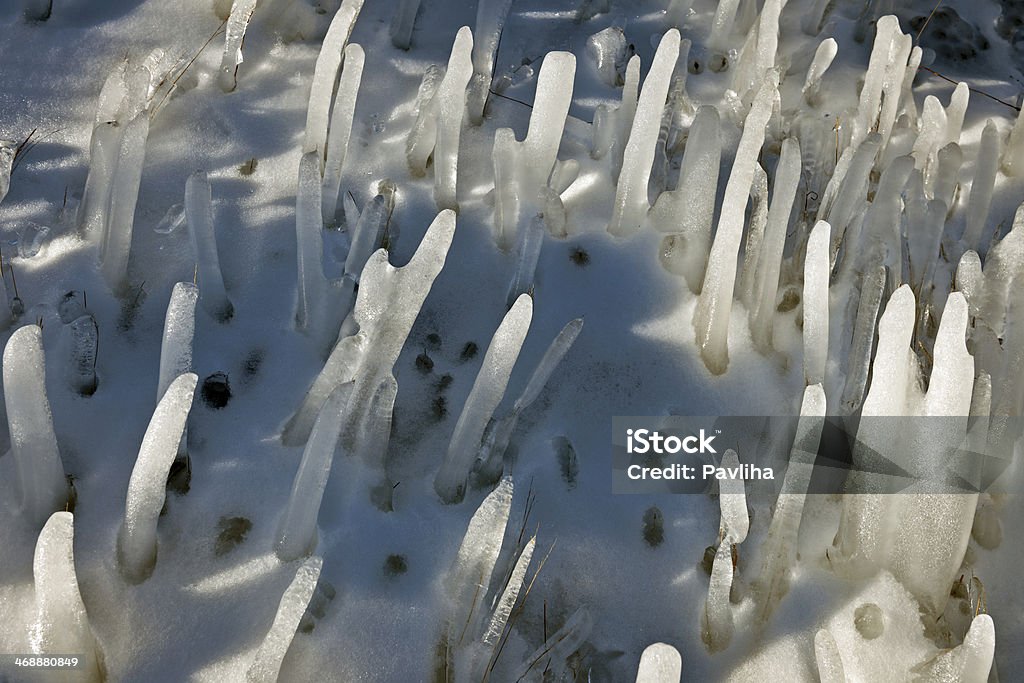 Congelado, de Grasslands - Royalty-free Ao Ar Livre Foto de stock