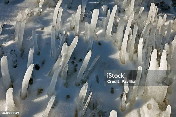 Congelado De Grasslands - Fotografias de stock e mais imagens de Ao Ar Livre - Ao Ar Livre, Beleza natural, Cinzento