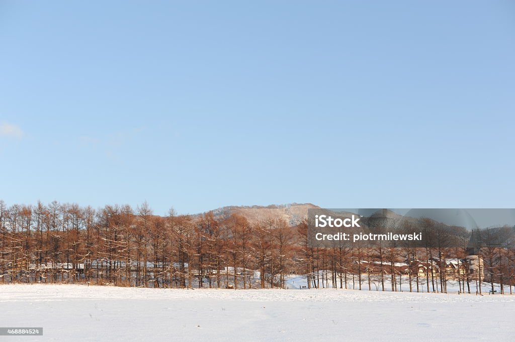 White winter landscape with snow-clad volcano in Hokkaido, Japan White winter landscape in Japan 2015 Stock Photo