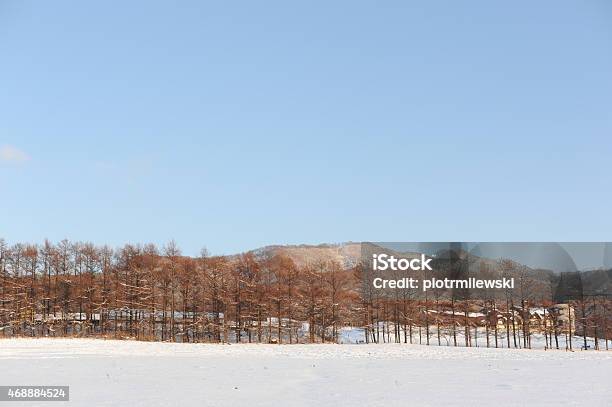 White Winter Landscape With Snowclad Volcano In Hokkaido Japan Stock Photo - Download Image Now