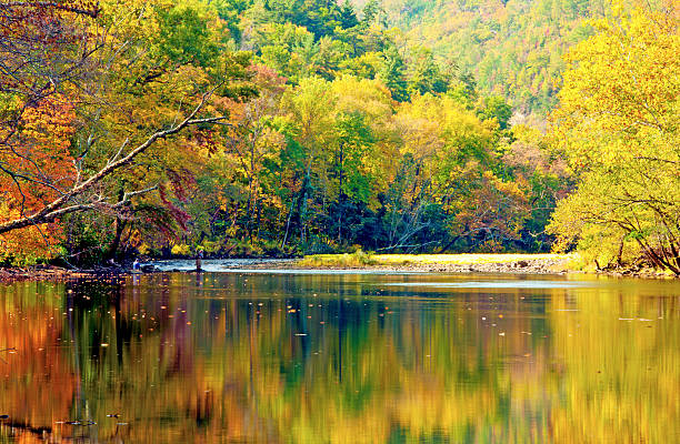 bela água, reflexões sobre rio de pombo. - famous place appalachian mountains autumn awe imagens e fotografias de stock