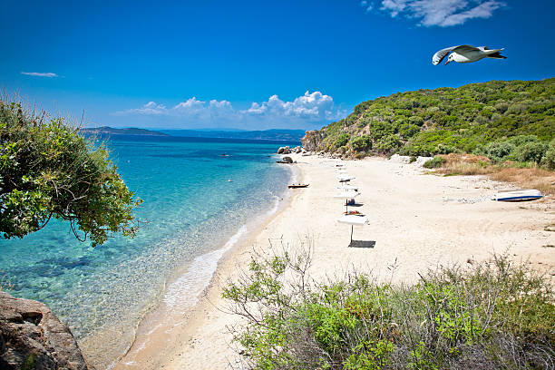 istock Beautiful Ouranoupolis beach on Athos, Greece. 468887938