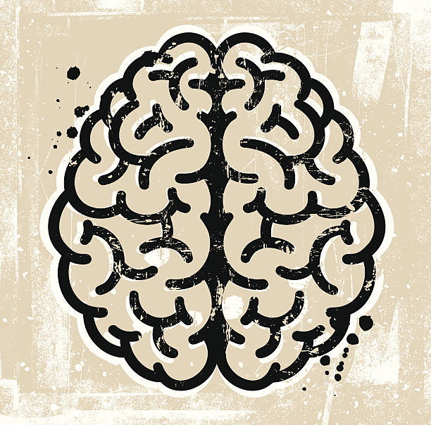 Cérebro - ilustração de arte em vetor