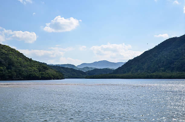 istock Tropical Jungle River in Japan 468891602