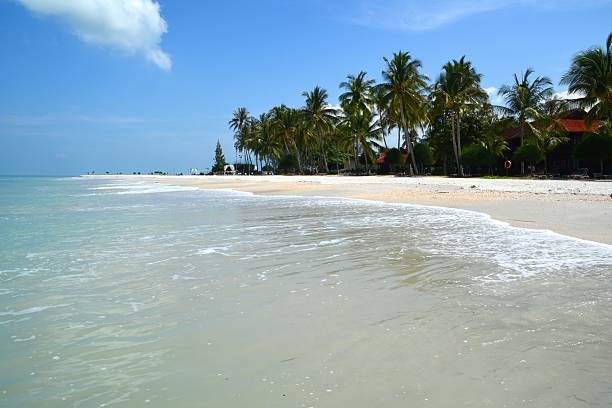 istock Palms on Pantai Cenang beach, Langkawi Island Malaysia 468893386