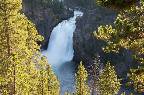 istock Yellowstone National Park, USA 468896822