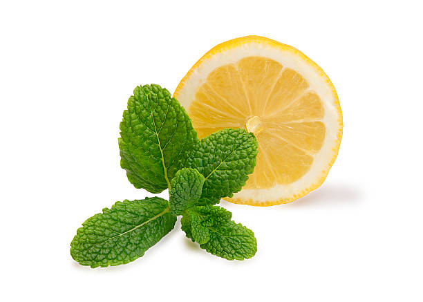 istock Sliced lemons with mint isolated 468899750