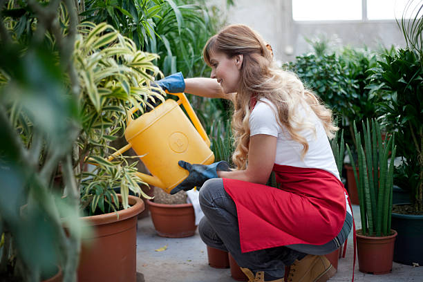 lavoratori garden centre. - service occupation candid small business carrying foto e immagini stock