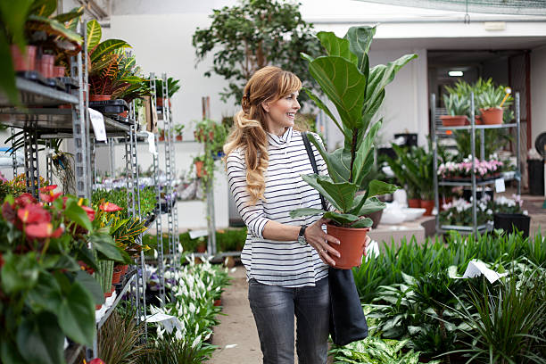 Woman buying at garden store Beautiful smiling mature women picking new plants in the gardening centre. plant nursery photos stock pictures, royalty-free photos & images