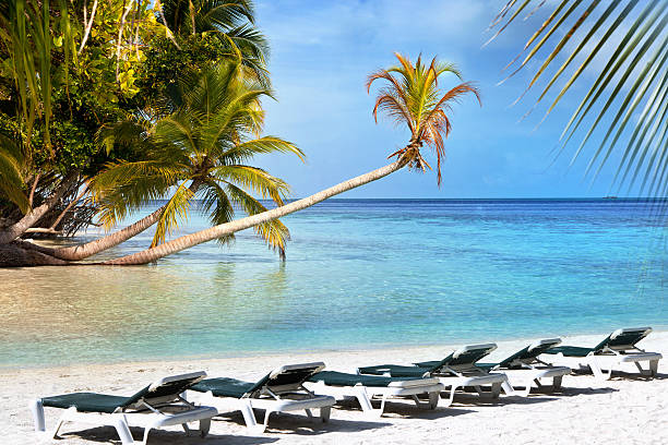 istock Tropical island paradise beach 468899898