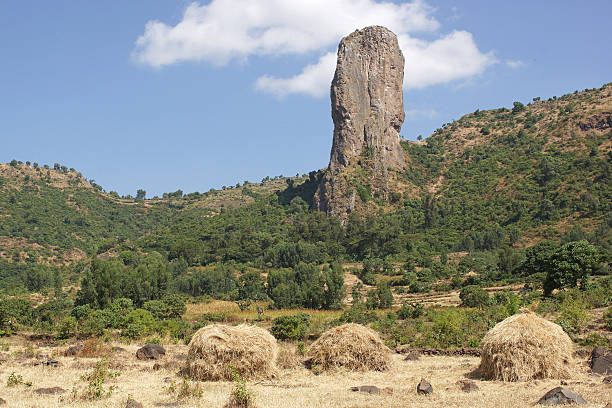 istock Vultures rock, Ethiopia, Africa 468900832