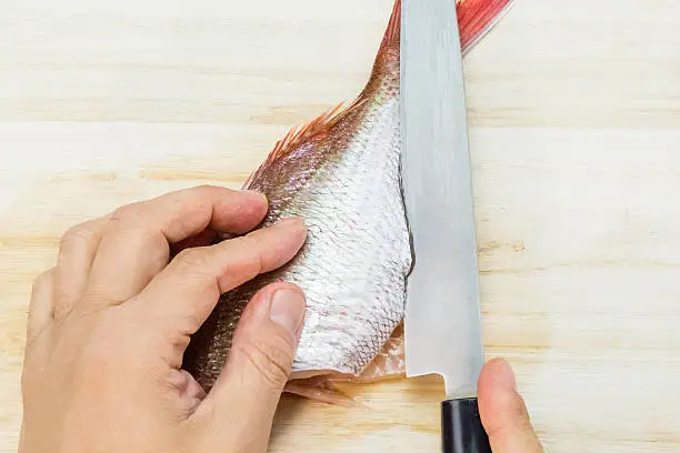 fillet a fish into three pieces