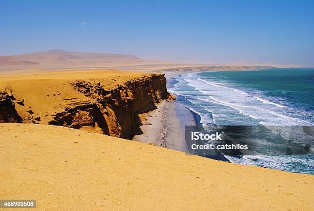 Paracas Coastline In A Tropical Desert Peru Stock Photo - Download Image Now - 2015, Animal Wildlife, Beach