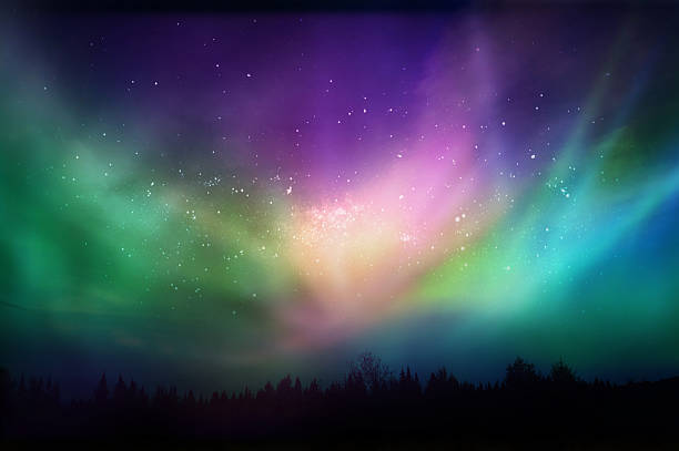 Multicolored northern lights (Aurora borealis)on Canadian forest Composition aurora polaris stock pictures, royalty-free photos & images