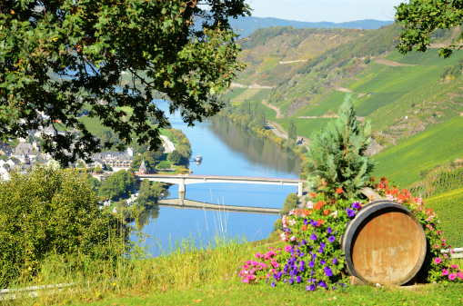 wine country at mosel valley
