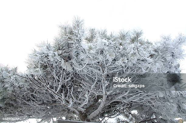 Taishan Na Neve - Fotografias de stock e mais imagens de Ao Ar Livre - Ao Ar Livre, Beleza, Beleza natural