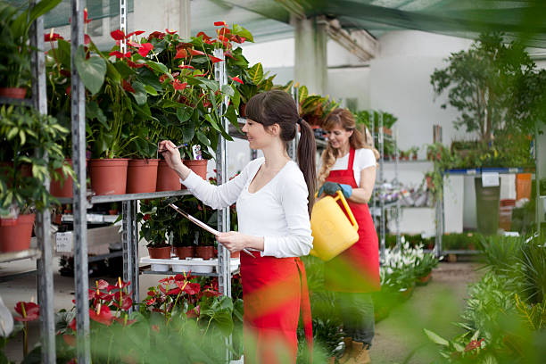 istock Workers at garden center retail store 468906114