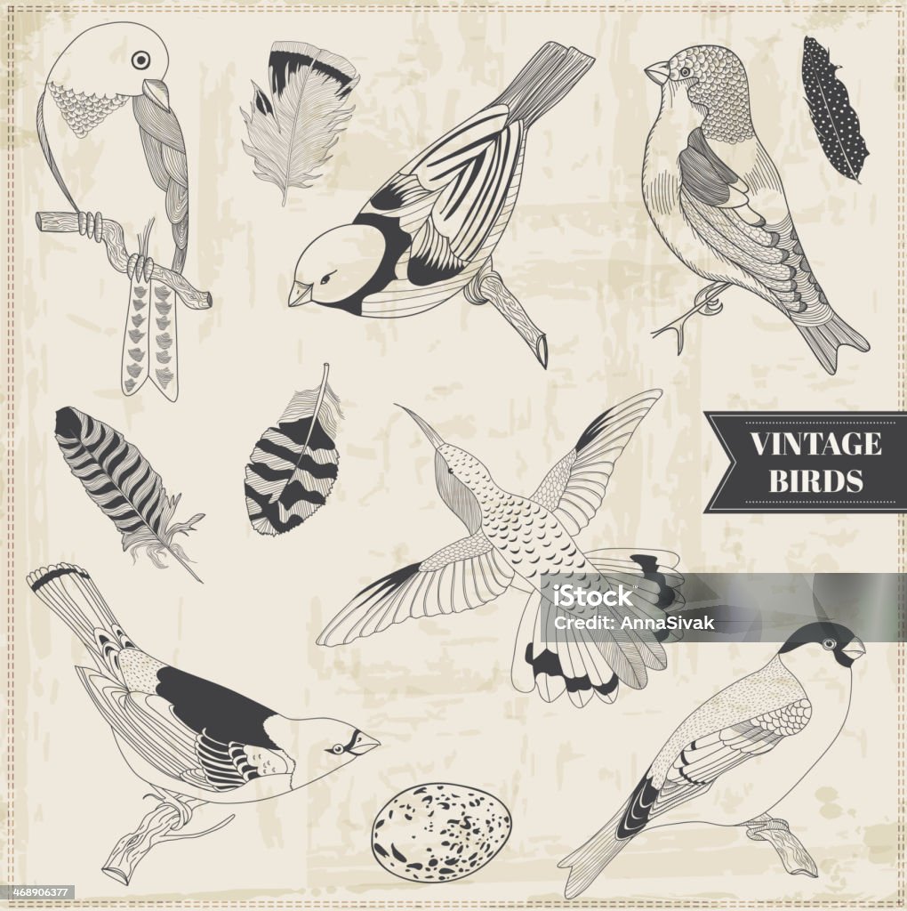 Векторный набор: Calligraphic руки drawn птиц - Векторная графика Альбом на память роялти-фри