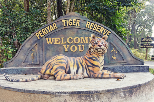 Thekkady,Kerala, India - January 12, 2013: Statue of a tiger marking the entrance of the Periyar Tiger Rerserve located in the Periyar National and Wildlife Sanctuary in south India.