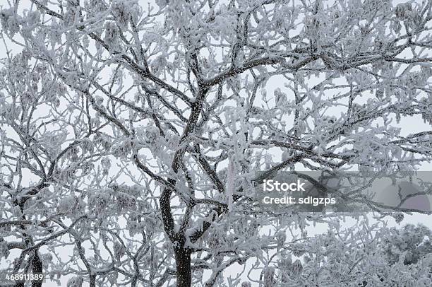 Taishan En La Nieve Foto de stock y más banco de imágenes de Aire libre - Aire libre, Belleza, Belleza de la naturaleza