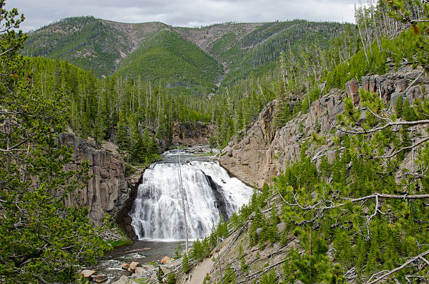 istock Gibbon Falls in Yellowstone National Park 468911403