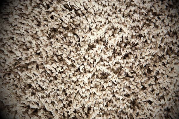 istock Fringe of fitted carpet 468912423