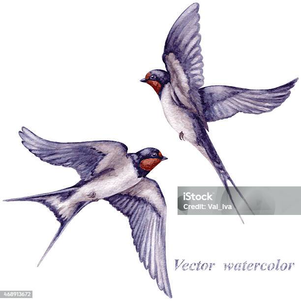 Flying Swallows Stock Illustration - Download Image Now - Bird, Swallow - Bird, Watercolor Painting