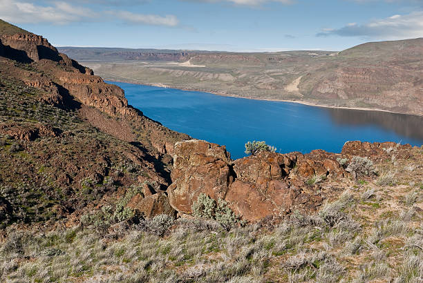 Basalt Formations Above the Columbia River The scablands of central Washington with their rolling hillsides and basalt canyons offer some of the most colorful landscapes in the state. The Columbia River area has many such side canyons. This scene of the high bluffs overlooking the river was photographed at Ginkgo Petrified Forest State Park near Vantage, Washington State, USA. jeff goulden washington state desert stock pictures, royalty-free photos & images