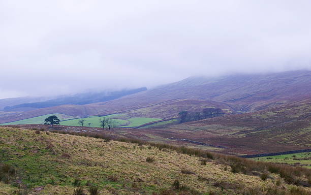 istock Widdale Fell Yorkshire Dales National Park 468918077
