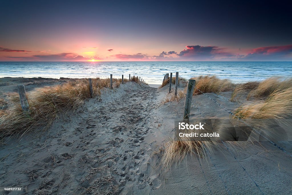 sand path to North sea beach at sunset Beach Stock Photo
