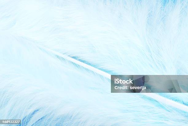 Feather Plumage Weiß Und Blau Textur Stockfoto und mehr Bilder von Abstrakt - Abstrakt, Blau, Borste