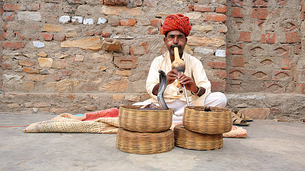 cobra enchanter 앉아 street - cobra people india snake 뉴스 사진 이미지