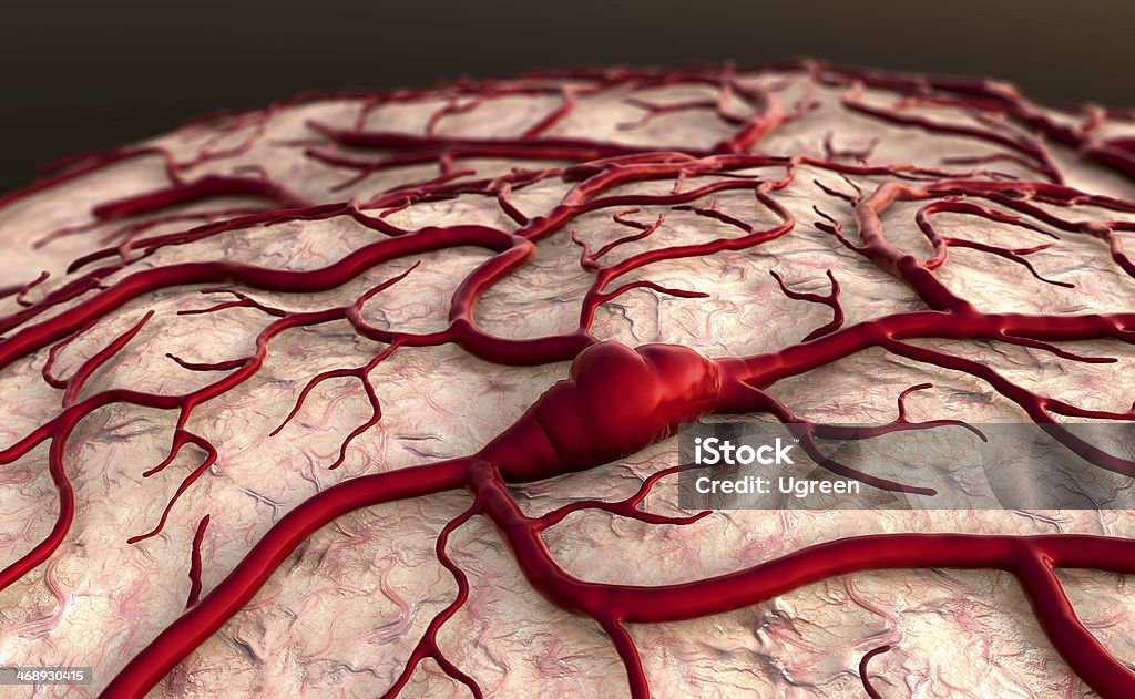 insult, brain Brain Model, brain surfase, circulatory system, disease, heart attack, Capillary Anatomy Stock Photo