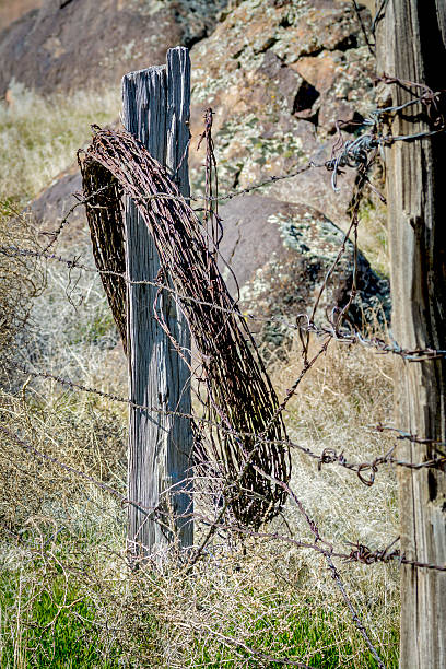 istock wood fence post with parbed with barbed wire on it 468931442