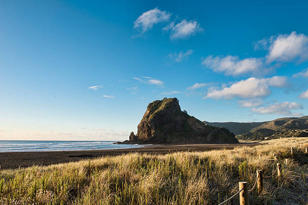 istock Lion Rock at Piha 468932198