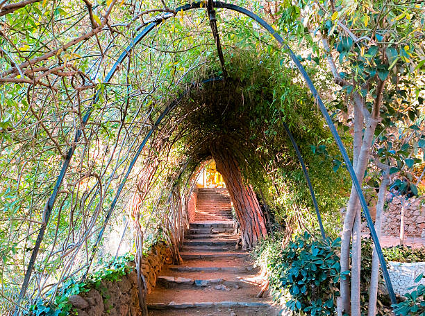 Ivy covered garden archway and path stock photo