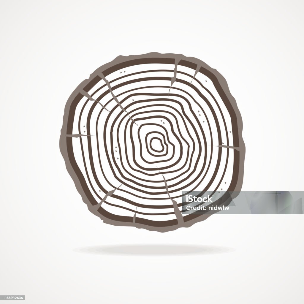 Vector tree rings. Flat Design Vector illustration tree rings and bark isolated on white  background. Flat Design 2015 stock vector