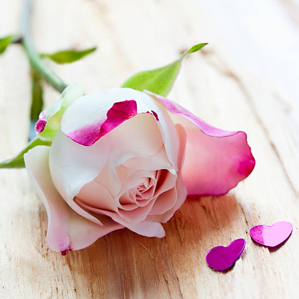 istock pink rose and two little hearts 468946493
