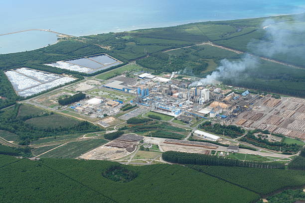 istock Pulp and paper industry produces planted with eucalyptus 468946805