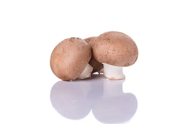 Chestnut Mushrooms Isolated on a White Background.