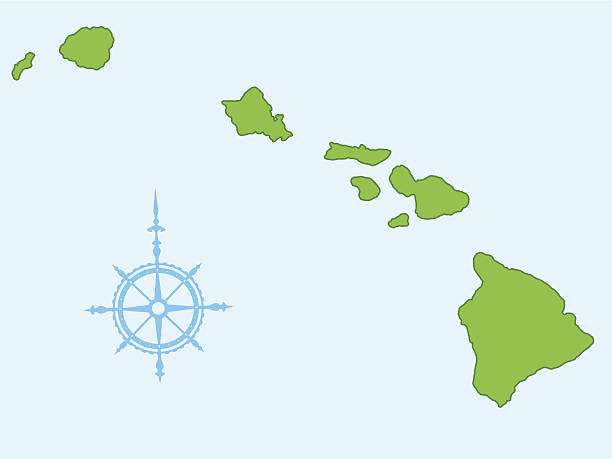 hawaii - hawaii inselgruppe stock-grafiken, -clipart, -cartoons und -symbole