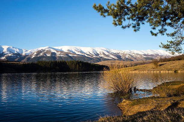 Early spring stock photo